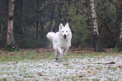Fotos/VervolgI-nest/vervolg/Imix/IMG_7311[1].jpg